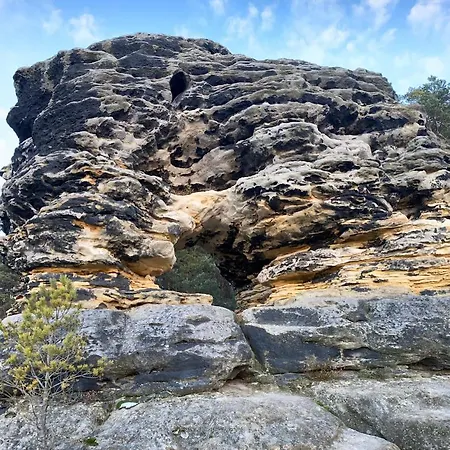 Nevada - Adults Only * באד שאנדאו